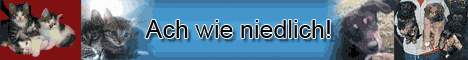 Couch gesucht