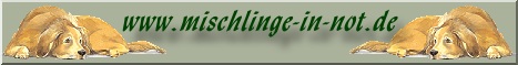 www.mischlinge-in-not.de